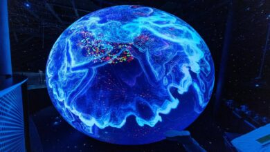 معلومات عن العلم