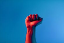 ثقافة حقوق الإنسان